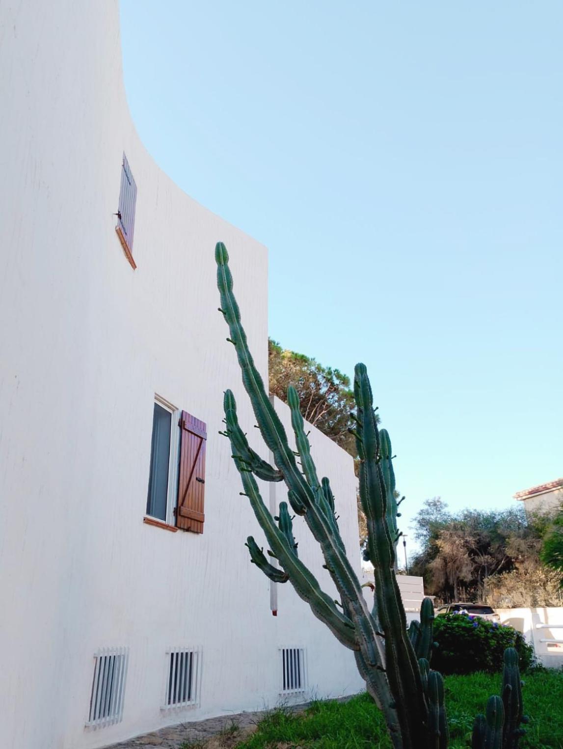 Villa Anna 300 M Dal Mare Torre delle Stelle Εξωτερικό φωτογραφία